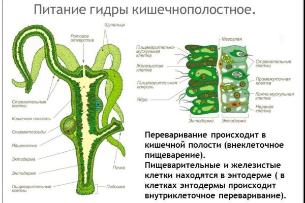 Сайт кракен 24